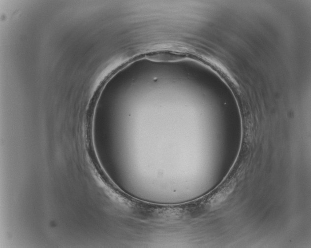 X0000069390991200605192209