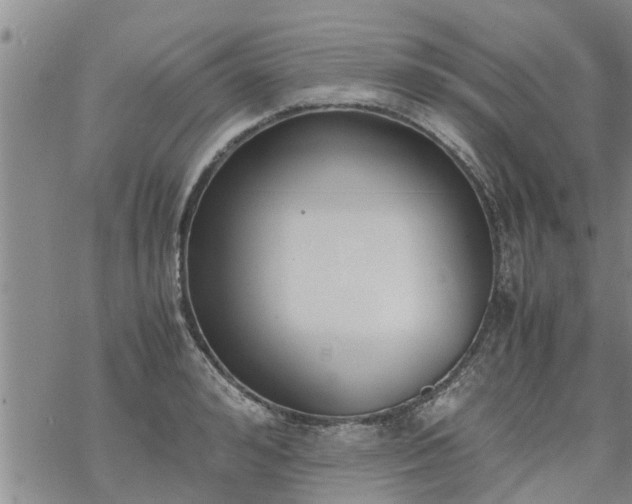 X0000069390992200605192209