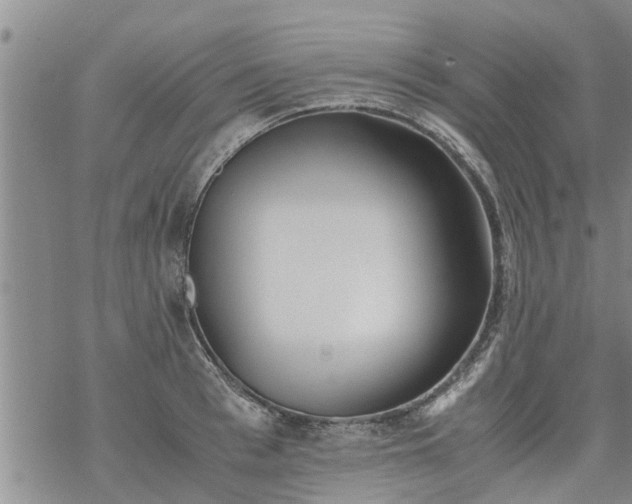 X0000069390993200605192209