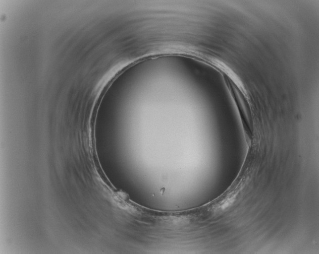 X0000069390996200605192209