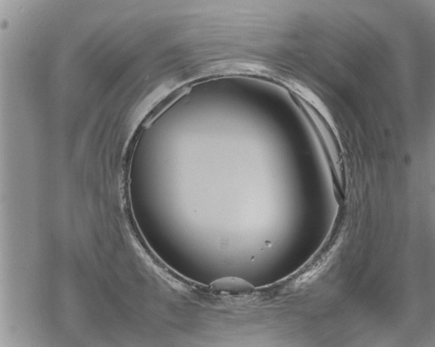 X0000069390997200605192209