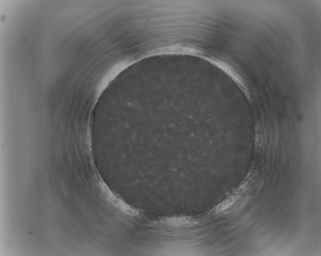 X0000069390998200605192209