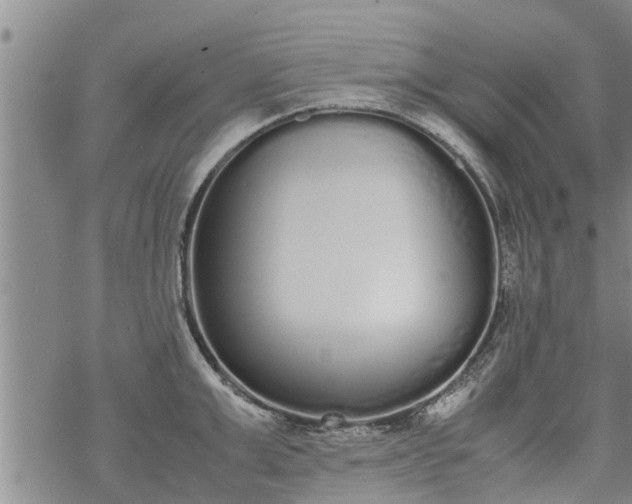 X0000069390999200605192209