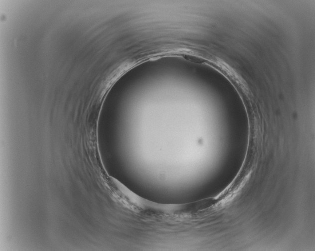 X0000069391001200605192209