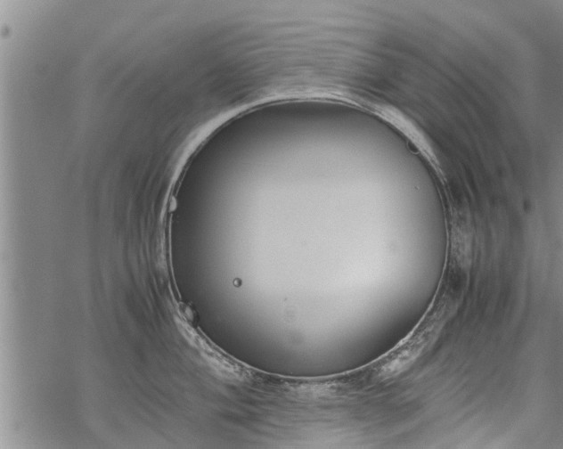 X0000069391004200605192209