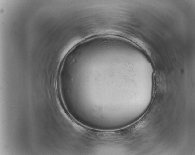 X0000069391007200605192209