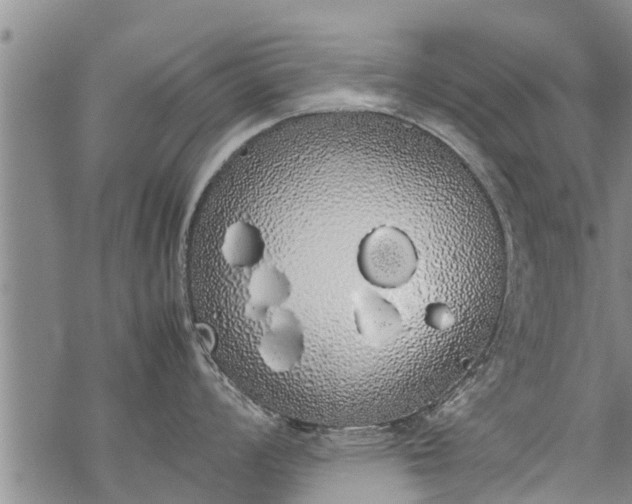 X0000069391008200605192209