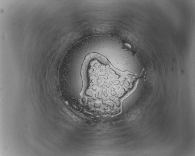 X0000069391009200605192208