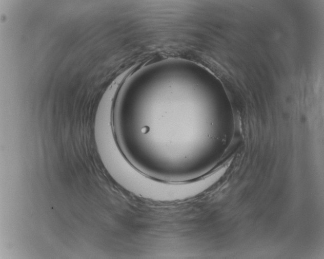 X0000069391010200605192208