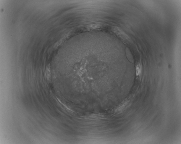 X0000069391011200605192208