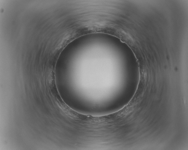 X0000069391012200605192208