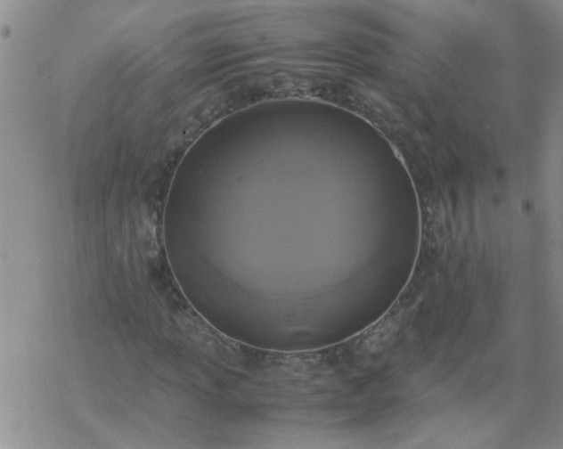 X0000069391013200605192208