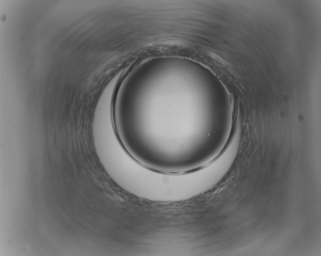 X0000069391014200605192208