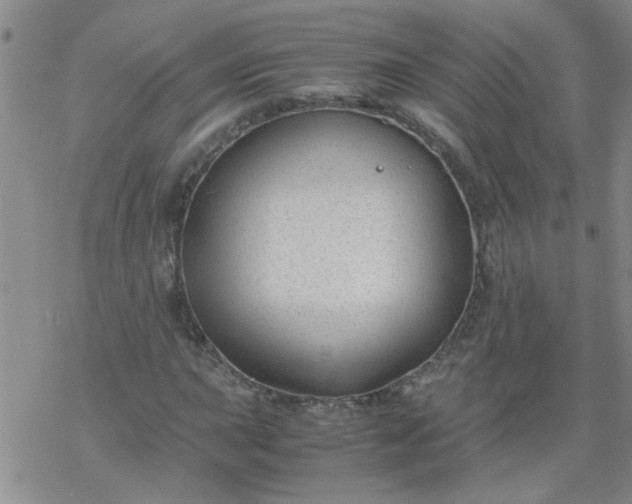 X0000069391015200605192208