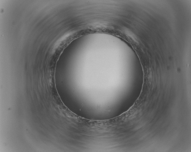 X0000069391016200605192208