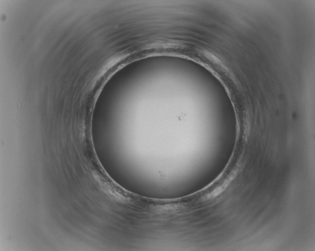 X0000069391017200605192208