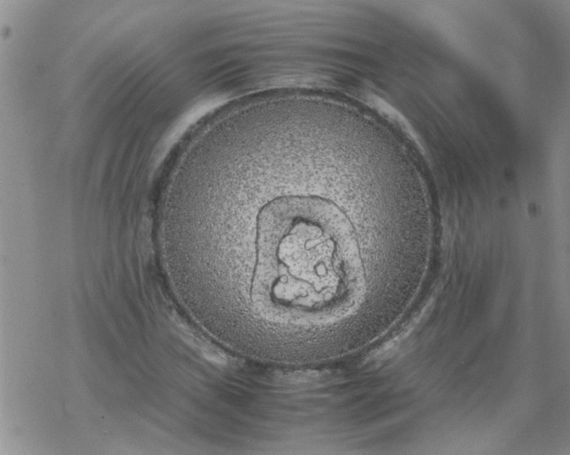 X0000069391019200605192208