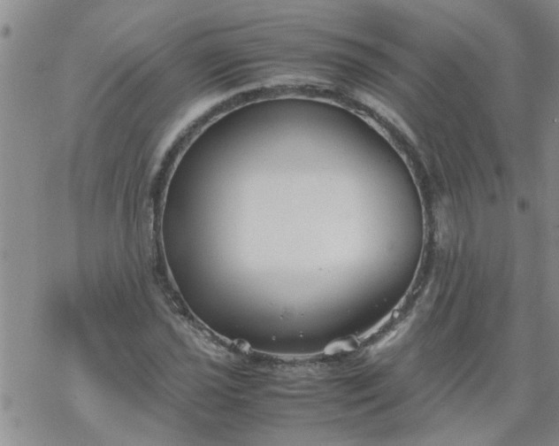 X0000069391021200605192208