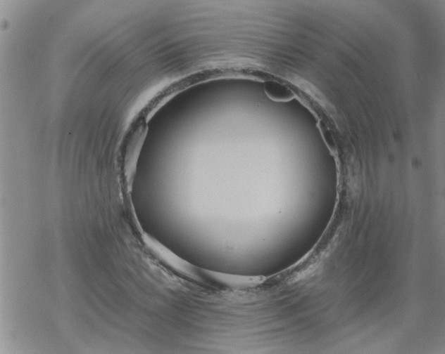 X0000069391022200605192208