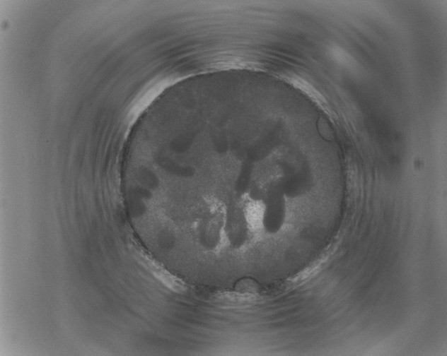 X0000069391023200605192208