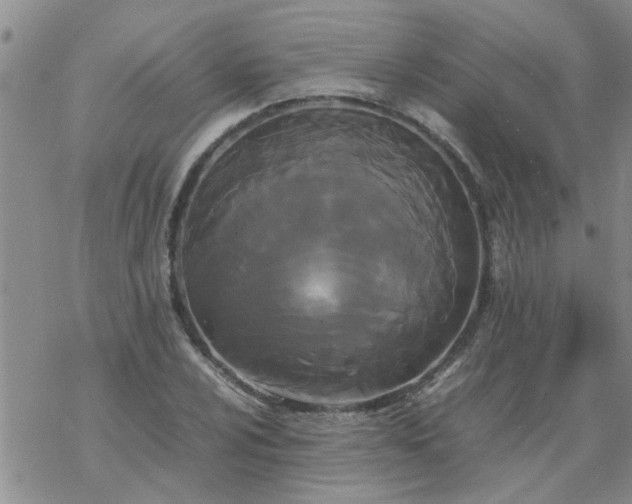 X0000069391024200605192208