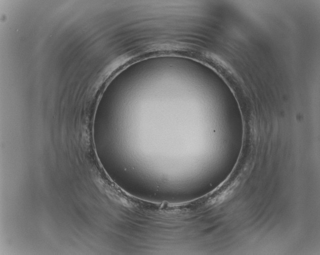 X0000069391025200605192208