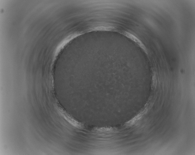 X0000069391027200605192208