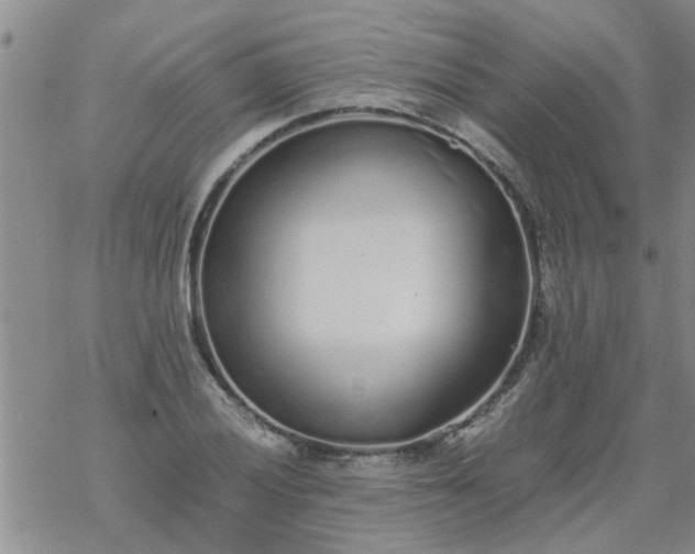 X0000069391028200605192209