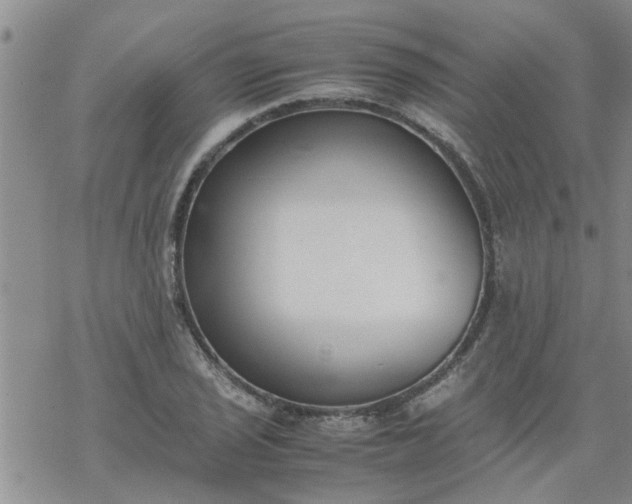 X0000069391029200605192209