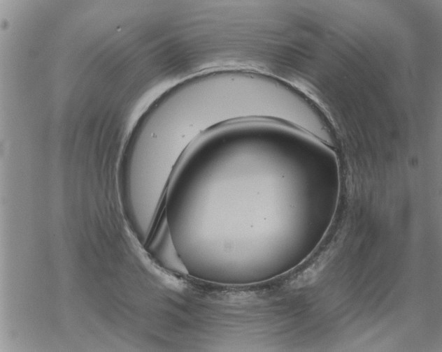 X0000069391030200605192209