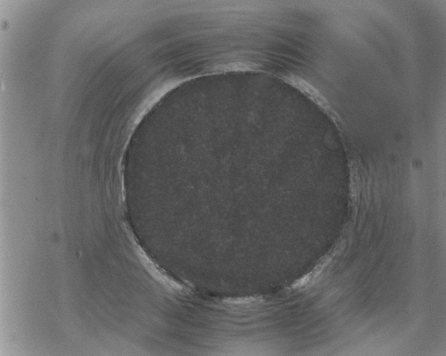 X0000069391031200605192209