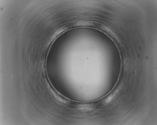 X0000069391033200605192209