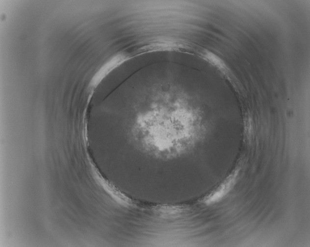 X0000069391034200605192209