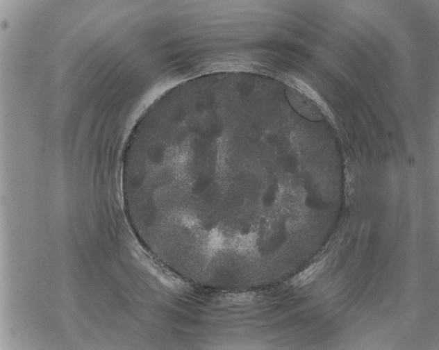 X0000069391035200605192209