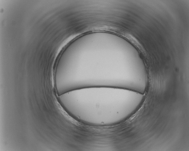 X0000069391036200605192209