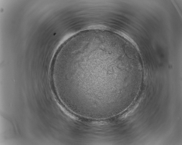 X0000069391037200605192209