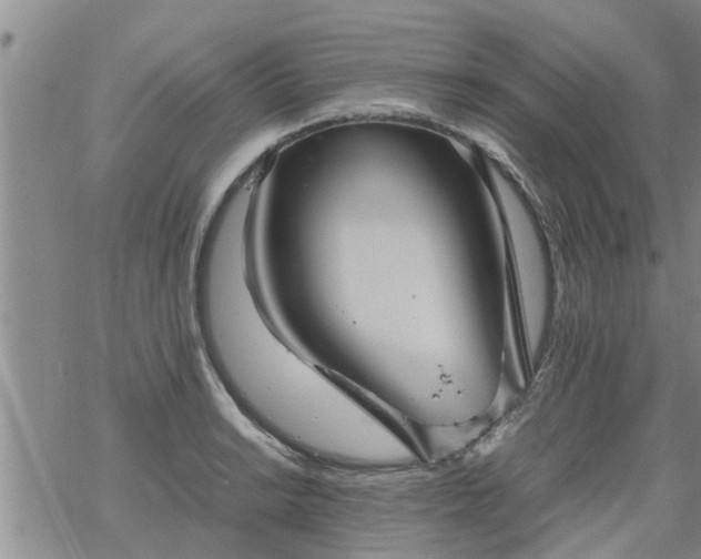 X0000069391038200605192209