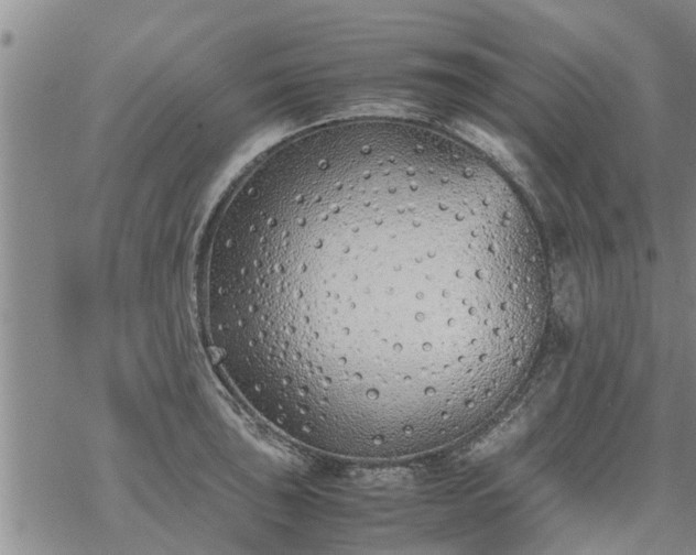 X0000069391043200605192209