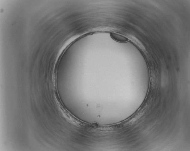 X0000069391044200605192209