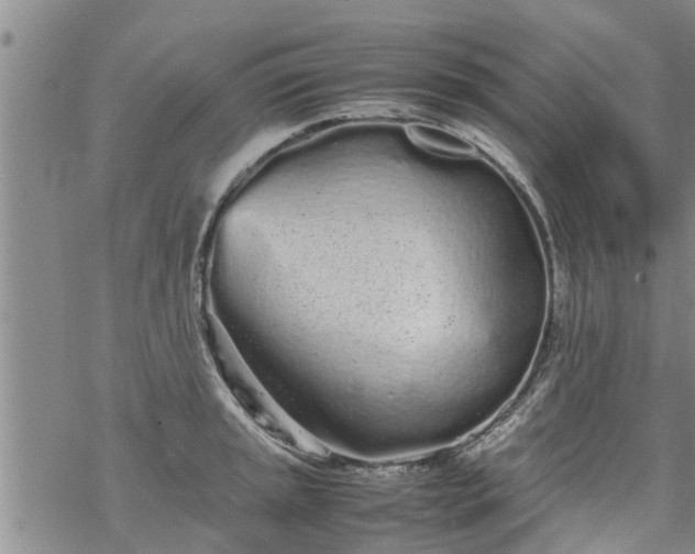 X0000069391045200605192209