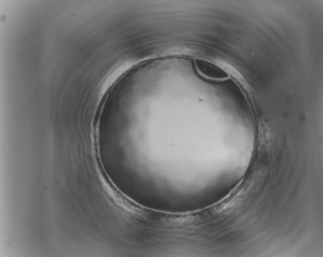 X0000069391047200605192209