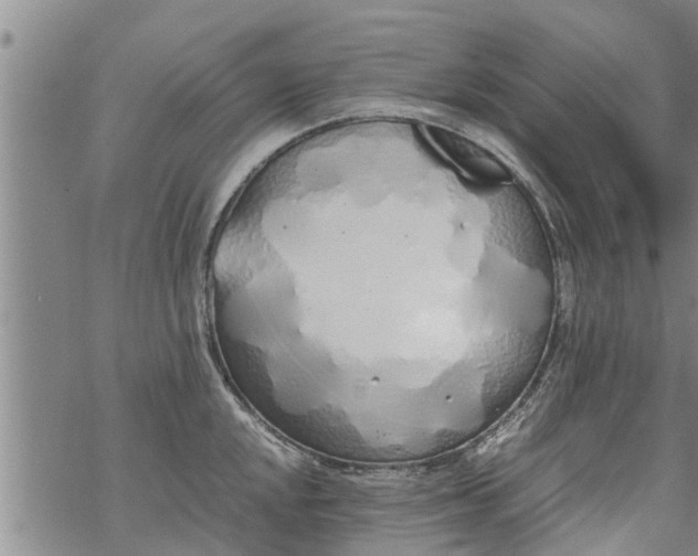 X0000069391048200605192209