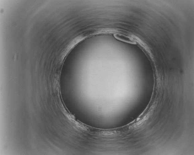 X0000069391049200605192209