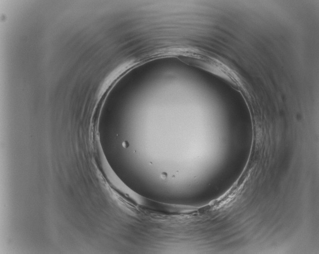 X0000069391050200605192209