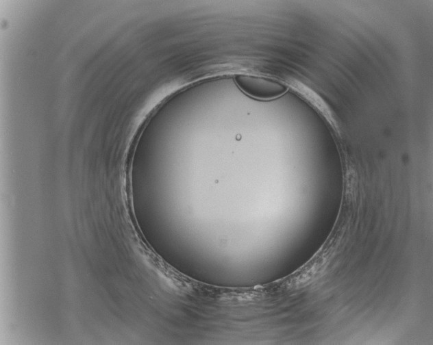 X0000069391051200605192209