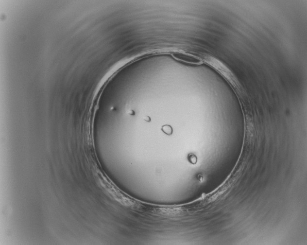 X0000069391052200605192209