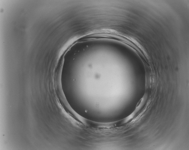 X0000069391054200605192209