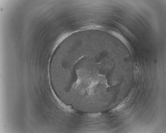 X0000069391055200605192209