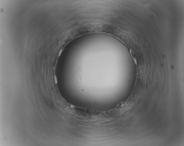 X0000069391057200605192208