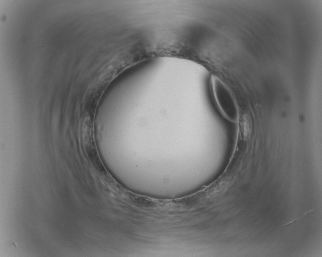 X0000069391059200605192208